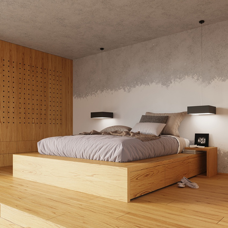 Plafond HORUS 25 BLACK + 1x ampoule LED E27 3000K Warm 7.5W 620lm