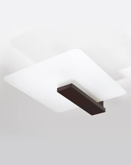 Plafond LAPPO wengé + 2x ampoule LED E27 4000K Froid 7.5W 650lm
