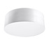 Plafond ARENA 25 GREY + 1x ampoule LED E27 3000K Warm 7.5W 620lm