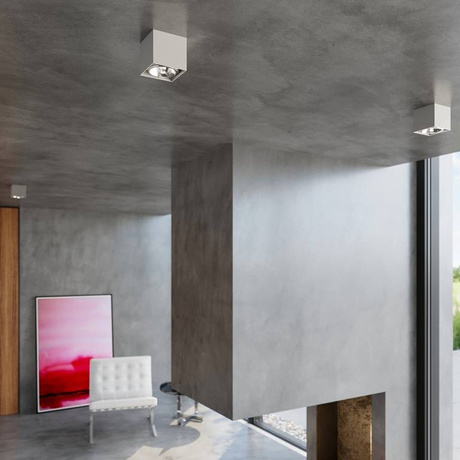 Plafond BLAKE gris + 1x ampoule LED GU10 AR111 4000K COLD 10W 850lm