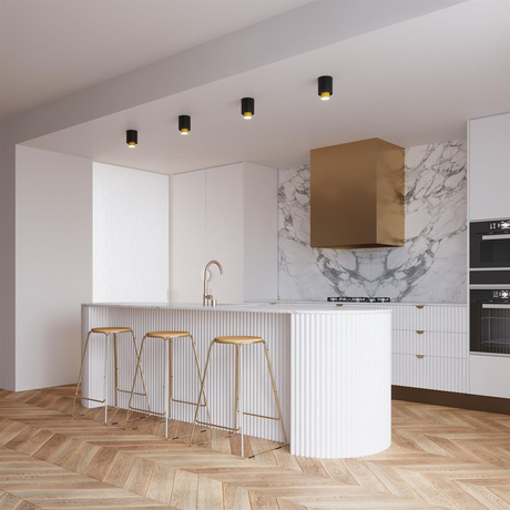 Plafond NESI noir + 1x ampoule LED GU-10 3000K Warm 7W 510lm