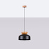 MARION lampe suspendue noire + 1x ampoule LED E27 3000K Warm 7,5W 620lm