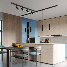 Plafonnier/pendentif, 8 spots, système de rail triphasé, DIREZIONE/LAGOS