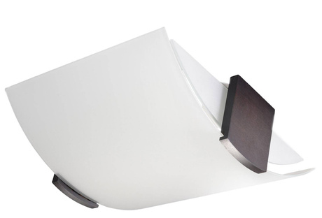 Plafond EMILIO + 2x ampoule LED E27 4000K Froid 7.5W 650lm