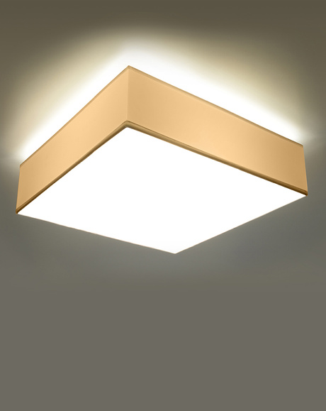Plafond HORUS 25 BLANC + 1x ampoule LED E27 4000K Froid 7.5W 650lm