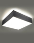 Plafond HORUS 35 GREY + 2x ampoule LED E27 4000K Cold 7.5W 650lm