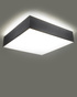 Plafond HORUS 25 GREY + 1x ampoule LED E27 4000K Cold 7.5W 650lm