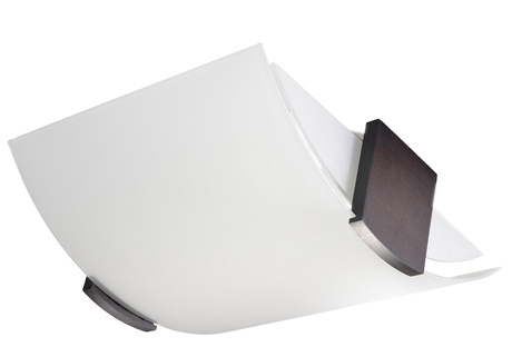 Plafond EMILIO + 2x ampoule LED E27 4000K Froid 7.5W 650lm