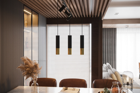 Plafond LOOPEZ noir/doré + 1x ampoule LED GU-10 4000K froide 7W 630lm