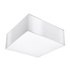 Plafond HORUS 25 BLANC + 1x ampoule LED E27 4000K Froid 7.5W 650lm