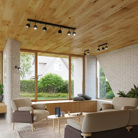 Plafond OCULARE 2 noir + 2x ampoule LED GU-10 3000K Warm 7W 620lm